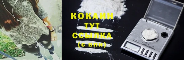 PSILOCYBIN Балахна
