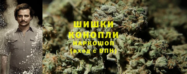 PSILOCYBIN Балахна