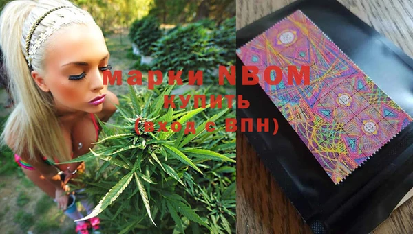 PSILOCYBIN Балахна
