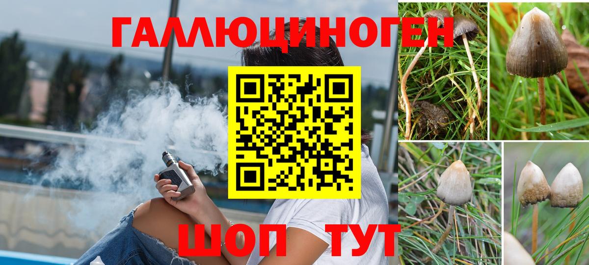 Галлюциногенные грибы Magic Shrooms Белово