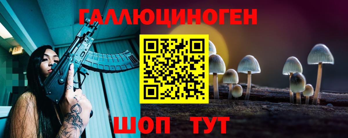 Белово  Псилоцибиновые грибы GOLDEN TEACHER  Галлюциногенные грибы прущие грибы  Вход с VPN 